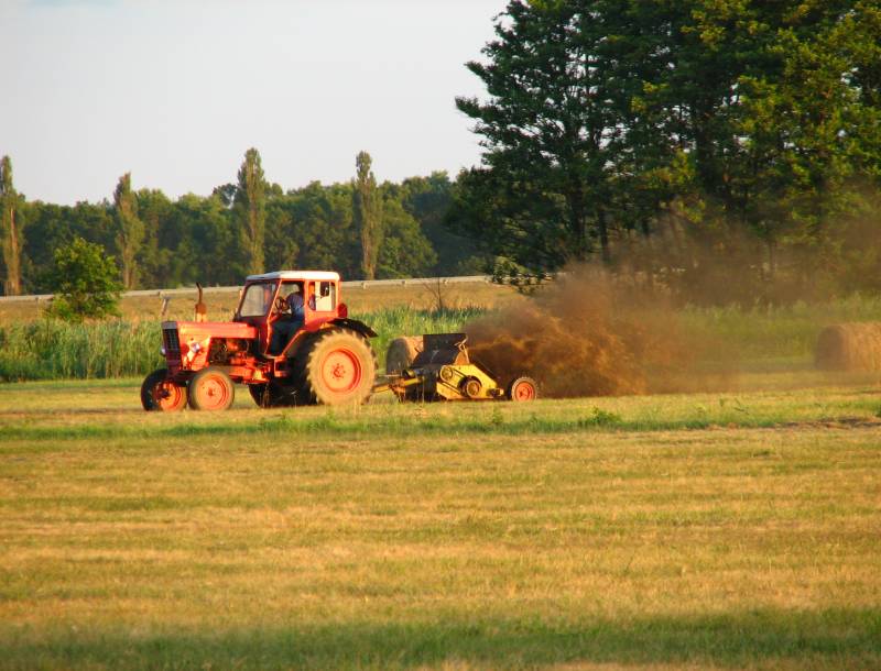 Fő galéria galéria