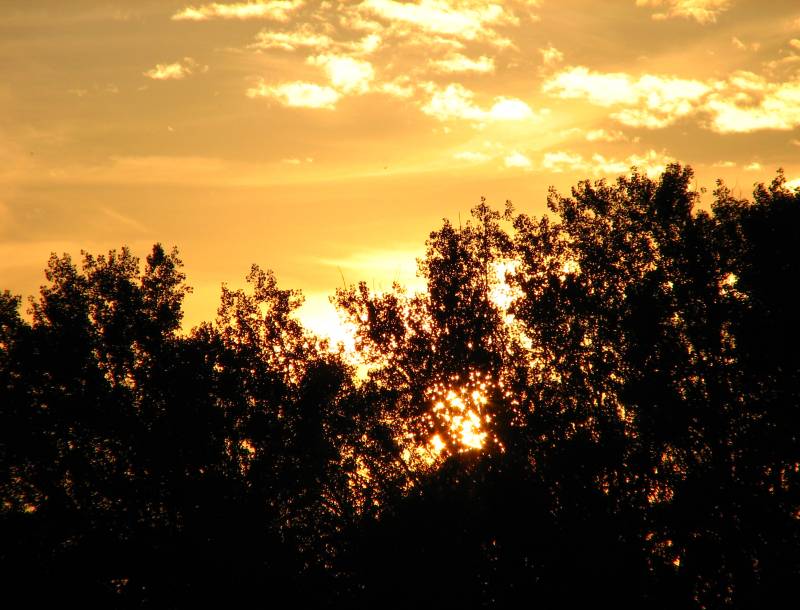 Fő galéria galéria